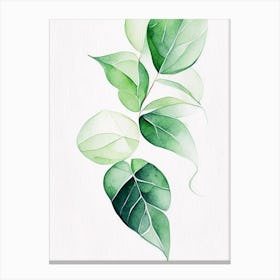 Wintergreen Leaf Minimalist Watercolour 4 Canvas Print