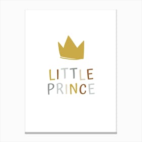 Little Prince 3 Canvas Print