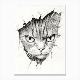 Angry Cat Watching from Wall Hole 13 Canvas Print