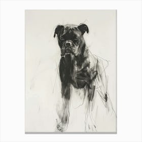 Boxer Dog Charcoal Line 1 Canvas Print