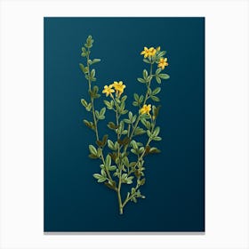 Vintage Yellow Jasmine Flowers Botanical Art on Teal Blue n.0525 Canvas Print