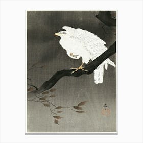 Snowy Eagle On A Tree Branch (1910 1930), Ohara Koson Canvas Print