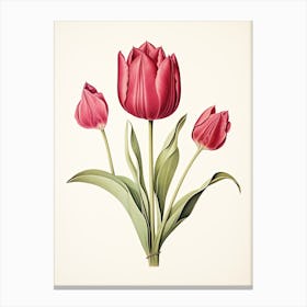 Tulips Flower Vintage Botanical 2 Canvas Print