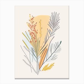 Ephedra Spices And Herbs Minimal Line Drawing 3 Canvas Print
