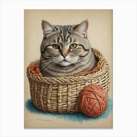 Cat In A Basket 1 Canvas Print