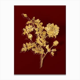 Aaipd Vintage White Burnet Roses Botanical In Gold On Red Canvas Print