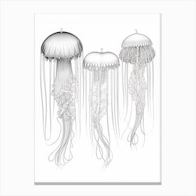 Box Jellyfish Drawing 2 Canvas Print