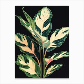 Philodendron 1 Canvas Print