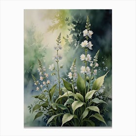 White Flowers 1 Canvas Print