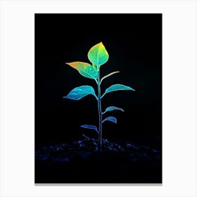 Neon Plant 28 Canvas Print