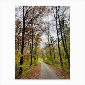 Autumn Road In The Woods 2 Canvas Print