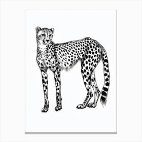 B&W Cheetah Canvas Print