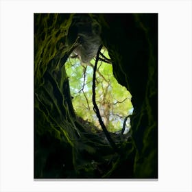 Cave Skylight Canvas Print