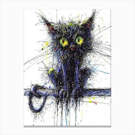 Black Cat 51 Canvas Print