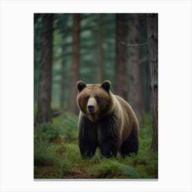 Brown Bear In The Forest Canvas Print