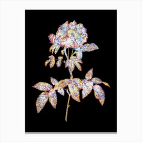 Stained Glass Provins Rose Mosaic Botanical Illustration on Black n.0086 Canvas Print