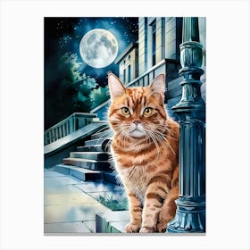 Cat At Night Canvas Print