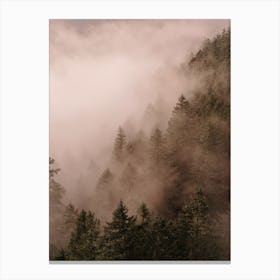 Foggy Trees Canvas Print