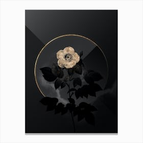 Shadowy Vintage Leschenault's Rose Botanical in Black and Gold n.0152 Canvas Print