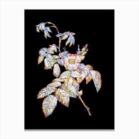 Stained Glass Apple Rose Mosaic Botanical Illustration on Black Canvas Print