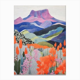 Mount Tamalpais United States 2 Colourful Mountain Illustration Canvas Print