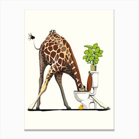 Giraffe Drinking From Toilet Canvas Print