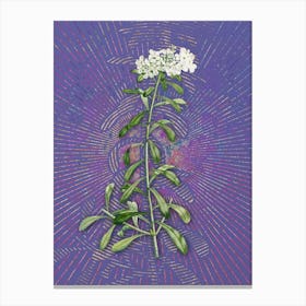 Vintage Small White Flowers Botanical Illustration on Veri Peri n.0131 Canvas Print