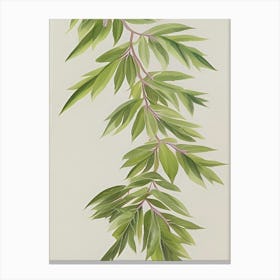 Watercolor Leaves Branch Nature Plant Growing Still Life Botanical Study Canvas Print