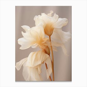 Boho Dried Flowers Daffodil 4 Canvas Print