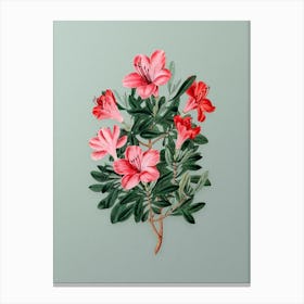 Vintage Brick Red Chinese Azalea Flower Botanical Art on Mint Green n.0659 Canvas Print