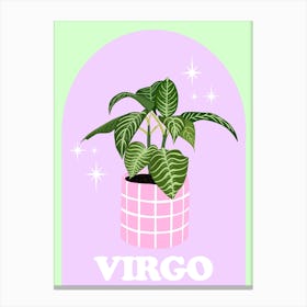 Botanical Star Sign Virgo Canvas Print