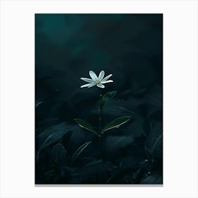 Dark Flower 13 Canvas Print