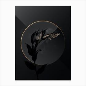 Shadowy Vintage Treacleberry Botanical on Black with Gold n.0012 Canvas Print