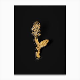 Vintage Brown Widelip Orchid Botanical in Gold on Black Canvas Print