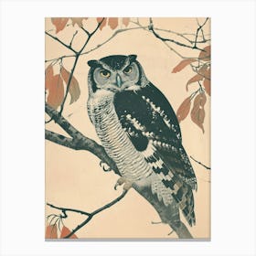 Northern Hawk Owl Vintage Illustration 1 Canvas Print