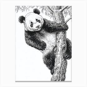 Giant Panda Cub Climbing A Tree Ink Illustration 2 Canvas Print