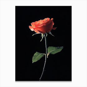 Single Rose 17 Canvas Print