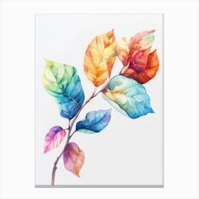 Watercolor Leaves On A Branch 1 Canvas Print