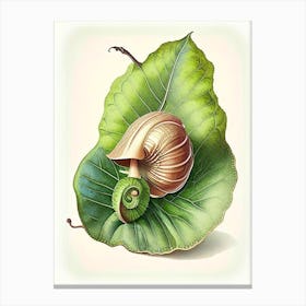 Garden Snail On A Leaf Botanical Canvas Print