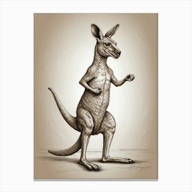 Kangaroo Canvas Print