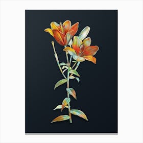Vintage Orange Bulbous Lily Botanical Watercolor Illustration on Dark Teal Blue n.0719 Canvas Print