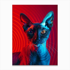 Sphynx Cat 5 Canvas Print