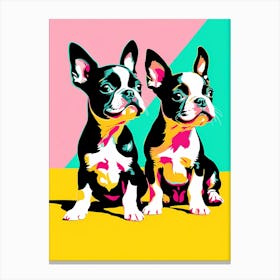 'Boston Terrier Pups' , This Contemporary art brings POP Art and Flat Vector Art Together, Colorful, Home Decor, Kids Room Decor, Animal Art, Puppy Bank - 9th Canvas Print