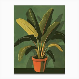 Banana Plant In A Pot 4 Canvas Print