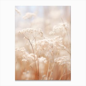 Boho Dried Flowers Gypsophila 5 Canvas Print