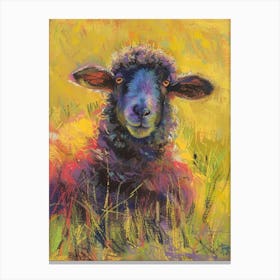 Sheep In The Grass Canvas Print