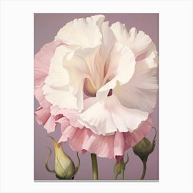 Floral Illustration Lisianthus 1 Canvas Print