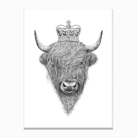 The King Highland Bull Canvas Print