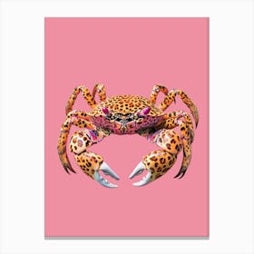 Leopard Crab Canvas Print