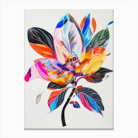 Magnolia 2 Canvas Print